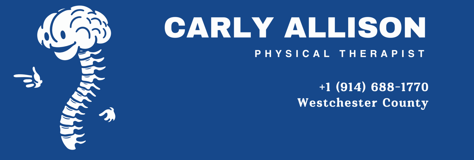 physical therapy in westchester county