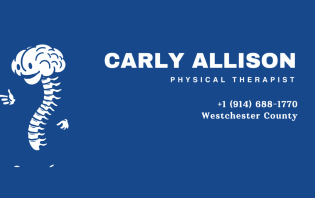 physical therapy in westchester county